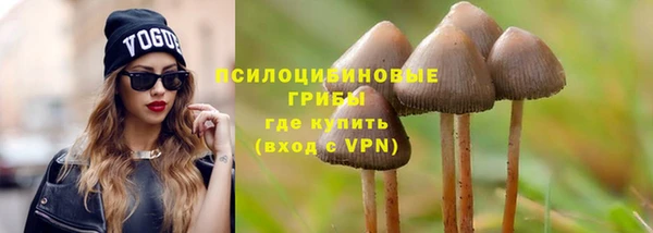 ГАЛЛЮЦИНОГЕННЫЕ ГРИБЫ Баксан