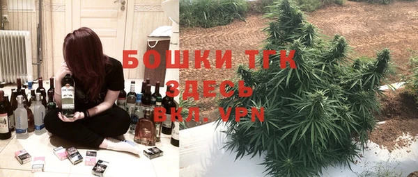 ГАЛЛЮЦИНОГЕННЫЕ ГРИБЫ Баксан