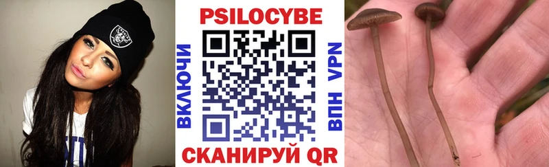 Псилоцибиновые грибы прущие грибы  Баксан 